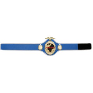 GOLD PRO288 CUSTOM CHAMPIONSHIP BELT  ***BEST SELLER***